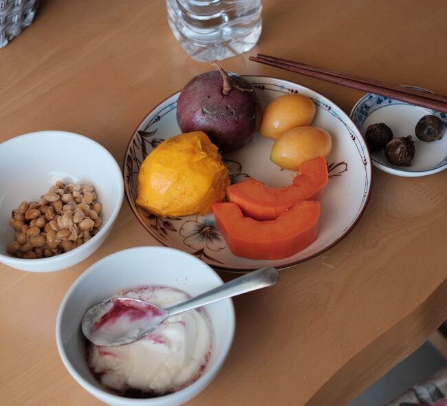 29日　朝昼食<br />ヨーグルト　納豆　黒ニンニク　果物（パパイヤ　トオー　ナーム.ノム　マヨムチッ　）．．．．ナームノムは10日前にチェンカンで買って帰った果物です、一休もこの時初めて知った（見た）果物です．．．赤紫の色をしています、味は優しい甘さで1Kg　30Bほどでしたから安い果物ですね。