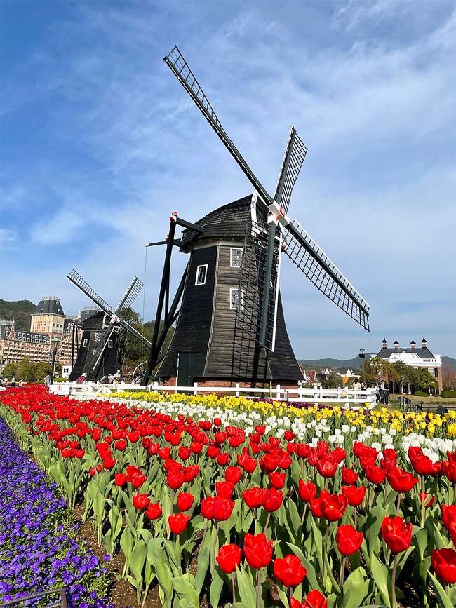 21年3月 長崎2泊3日の旅 1日目 ハウステンボスで満開のチューリップとイルミネーション ハウステンボス周辺 長崎県 の旅行記 ブログ By 旅猫さん フォートラベル 21年3月 長崎2泊3日の旅 1日目 ハウステンボスで満開のチューリップとイルミネーション ハウステンボス周辺 長崎県 の旅行記 ブログ By 旅猫さん フォートラベル