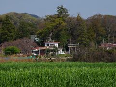 比々多神社　寄らずに通り過ぎました。