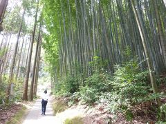 武雄神社へ。