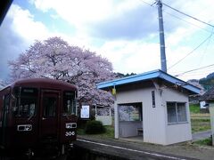 途中、大矢で対向列車と行き違い。

やはり桜が綺麗。