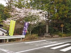 キャンプ場に別れをつげ
帰路とは反対側にハンドルを切った

また、柳生に～

やって来たのは円成寺

のぼりみて三輪そうめんが奈良の特産だと初めて知った。