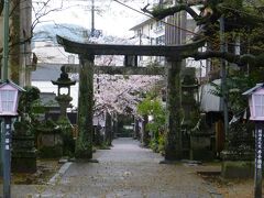 豊玉姫神社。
ここも桜がきれい。
