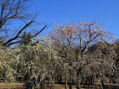 世田谷公園に到着