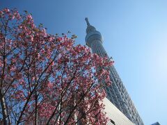 東京スカイツリー