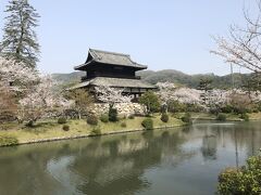 吉香神社の前を通って駐車場へ戻ります。
この建物は錦雲閣。吉香神社内にある絵馬堂だそうです。お堀と桜と、錦雲閣、風情があってキレイですね。