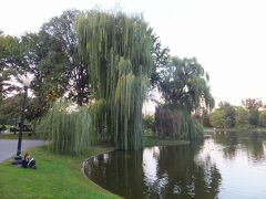 パブリックガーデン（Boston Public Garden）
1837年に出来た広い公園で、多くの銅像が立っています。