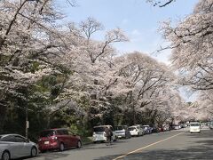 26日は印西市にある小林牧場。
ここは大井競馬のトレーニングセンターなんだそうだ。