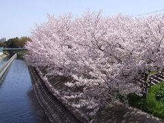 玉川・番田水路