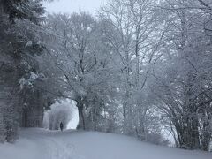 ジュラ・ヴォードワ国立公園を散歩