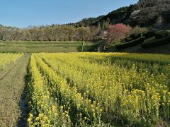 奥殿陣屋到着。
陣屋跡だけでなく、花畑も見どころです。