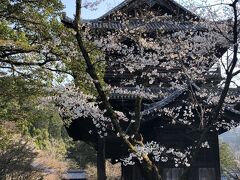 【南禅寺】
　哲学の道、南禅寺、インクライン、岡崎あたりは桜の名所で混雑が予想されるので平日に行く方がいいのではと思いました。