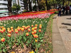 関内駅から横浜公園に入ります。