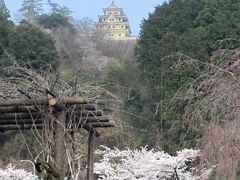 郡上八幡城自体はかなり上の方にあるようです。
さすがに城までは登る気力がなく、ここからの眺めで・・・