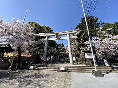 犬山城の手前に鳥居発見！

針綱神社です。
