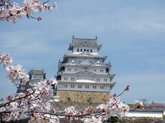 三の丸広場からの姫路城　このあたりの桜はまだまだのと満開に近いのと葉桜と色々あり　