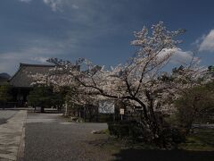 【清涼寺】
いつもは清涼寺の前の「おきな」というお店で湯豆腐を食べるのですが、今回はいっぱいで入らず、清涼寺の境内にある湯豆腐屋さんで昼食をいただきました。