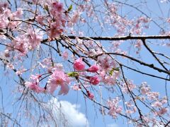 和歌山 本宮にある 和歌山 本宮にある