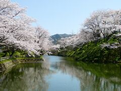 ここも有名なお花見スポット。城跡の堀を囲んで植えられた桜の優雅に咲き誇る光景が実に見事。