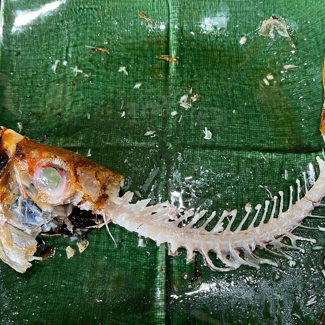 21年3月kikiさんのリバーリトリート雅樂倶でお花見 富山市 富山県 の旅行記 ブログ By Kikiさん フォートラベル