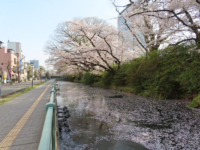 八高線に乗って再び高崎へ＆高崎城跡・三ツ寺公園で花見 2021/04