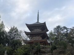 宿にチェックインした後、夕方散歩に出かける。