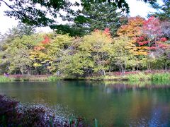 　雲場の池は紅葉が始まったばかり。