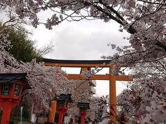 京都駅でバスに乗る時にガイドさんに平野神社を勧められました。北野天満宮から２・３分で着きます。桜が有名で規模は大きくない神社ですが桜が４００本あるようです。