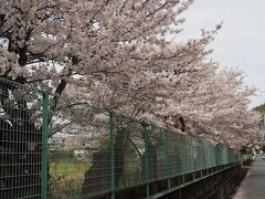 徒歩での移動