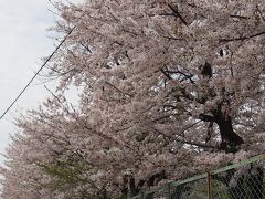 兵庫県立大学新在家キャンパス