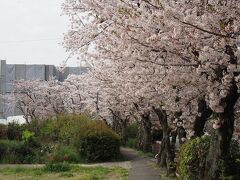 城乾小学校
