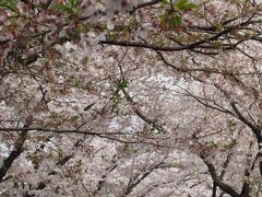 徒歩での移動