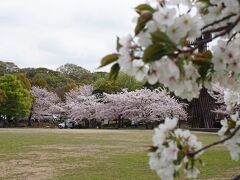 姫路城 (姫路公園)