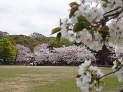 １．２ヘクタールの『芝生広場』。シロトピア記念公園にはこの他、『ふれあい広場』、『花の丘』、『野外ステージ』、『扇観亭』（休憩所）などの施設があります。