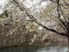 徒歩での移動