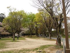 姫山公園は散歩する方が大勢いらっしゃいます。これは日常の光景です。私の中高時代のチャリンコでの通学路でした。