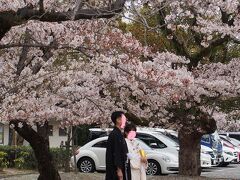 東御屋敷跡公園の桜の下で、本日挙式の二人の撮影をしていました。ぎりぎり間に合いましたね。おめでとうございます。