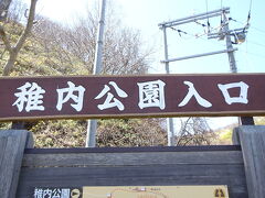 宗谷岬に行く前に、稚内市内をもう少し散策します。
まずは稚内公園へ。
こちらは稚内観光の定番スポットで、観光客も多いです。
丘陵地にあるので、公園内の道路は急勾配でカーブのきつい道が多いですが、きれいに芝生が敷かれていて落ち着く場所です。
いろいろと見処があるので、見ていきましょう。
そうそう、公園内で何頭か鹿を見かけました。
こんな街中にも鹿がいるなんて、さすが北海道ですね。