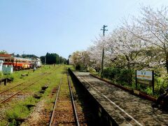 国吉駅に到着。
ここはムーミン押しの駅だったけど
https://4travel.jp/travelogue/11289468
2019年3月にいすみ鉄道はムーミン列車をやめたということだったから
駅にもムーミンはいないのかな？
飯能がムーミンの街になって、契約金が値あがって
契約更新できなくなっちゃったのかなあ。
だとしたら埼玉県民として謝るよ「ごめん」

