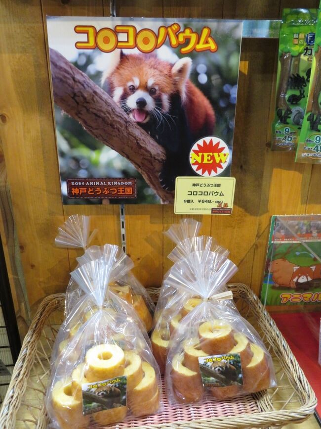 神戸レッサーパンダ遠征21春 2 神戸どうぶつ王国と王子動物園いろいろ 新バードパフォーマンスや ありがとうタンタン 特別企画展 神戸 兵庫県 の旅行記 ブログ By まみさん フォートラベル 神戸レッサーパンダ遠征21春 2 神戸どうぶつ王国と王子動物園いろいろ 新バードパフォーマンスや ありがとうタンタン 特別企画展 神戸 兵庫県 の旅行記 ブログ By まみさん フォートラベル