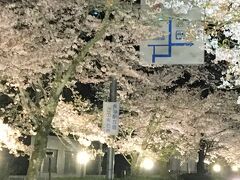 長瀞「北桜通り」ライトアップ