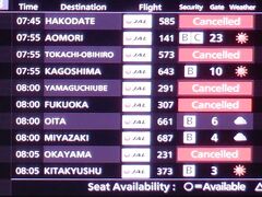 羽田空港フライト情報　この時間はまだまだ欠航が目立ちますね　非常事態宣言が延長してしまいました

