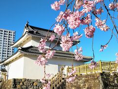 舞鶴城公園 (甲府城跡)