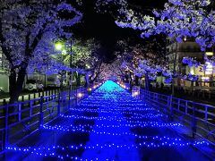 石和温泉に戻ると
桜がライトアップされていました。
出店も出ています。