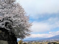 南アルプスと桜。
ここは桜が満開でした。
石和温泉よりも寒暖の差があるので早いのでしょう。
