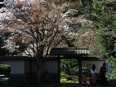 新渡戸庭園は、ビクトリアで客死した新渡戸稲造博士を記念した日本庭園です。