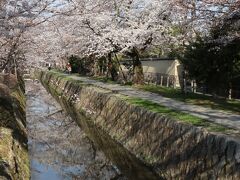 哲学の道から巡ります。
銀閣寺と熊野若王子神社の間を結ぶ約2kmに渡る散歩道、桜の名所としても有名です。

