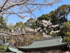 哲学の道の終点にある熊野若王子神社境内の桜も綺麗です。