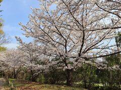 梅小路公園