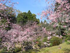 平安神宮